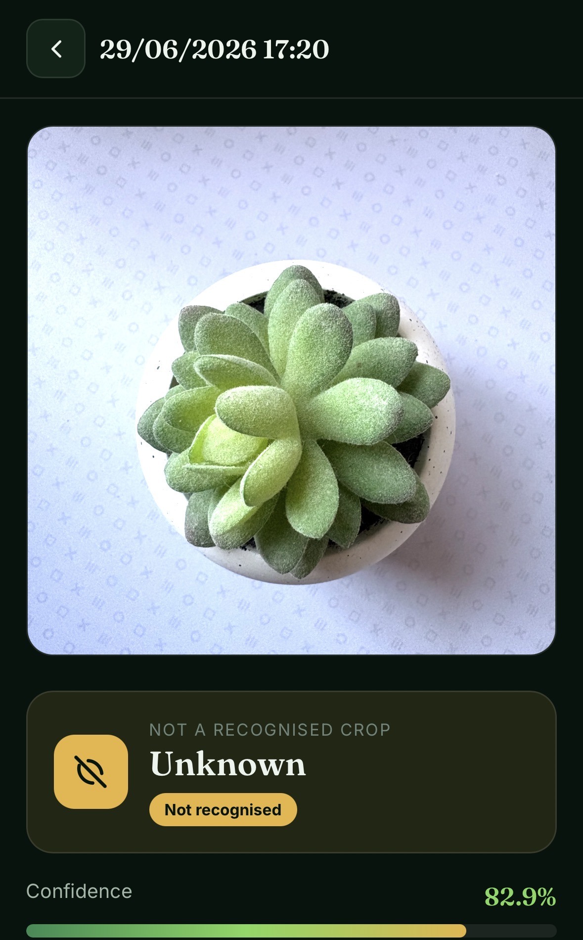 AgriSense AI correctly refusing to diagnose a houseplant, reporting Unknown, not a recognised crop, at 82.9 percent confidence